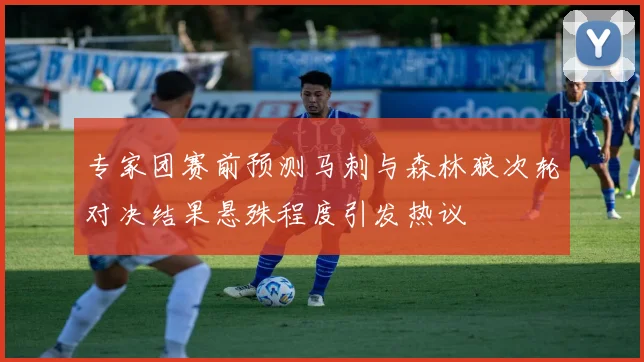 专家团赛前预测马刺与森林狼次轮对决结果悬殊程度引发热议