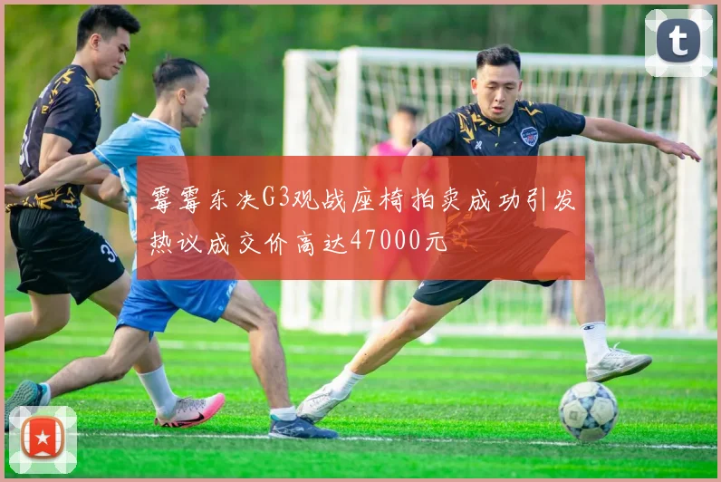霉霉东决G3观战座椅拍卖成功引发热议成交价高达47000元